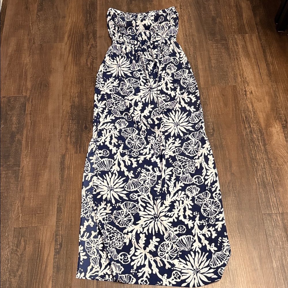 Lilly Pulitzer Sheer Maxi Dress